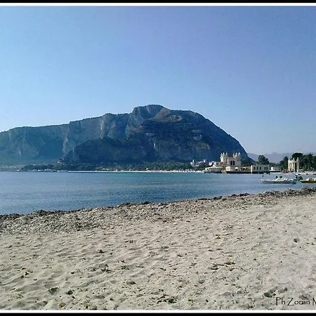 Mondello Manick Mare *