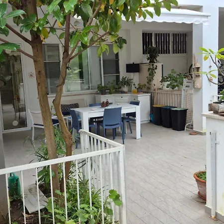 Mondello Manick Mare *