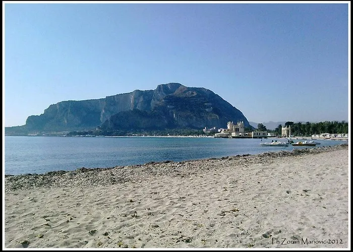 Mondello Manick Mare *