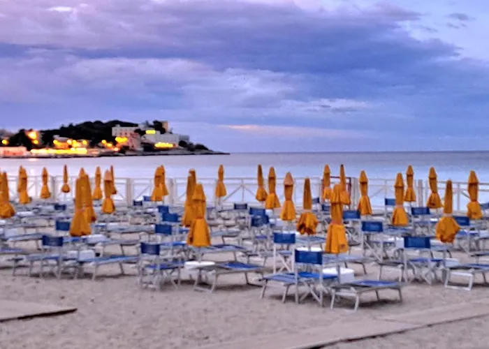 Mondello Manick Mare *