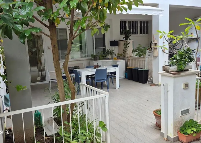 Mondello Manick Mare *